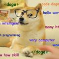 codedoge